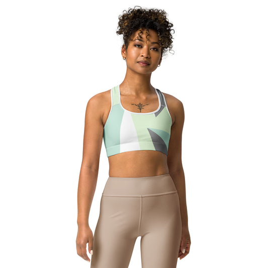 Comfy Moisture-Wicking Sports Bra with a Double Layered Elastic Band